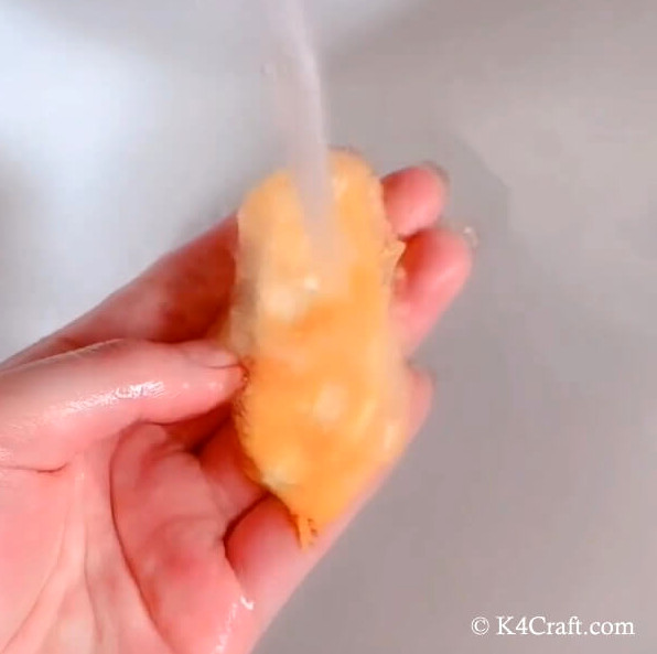 Rinsing the mango seed