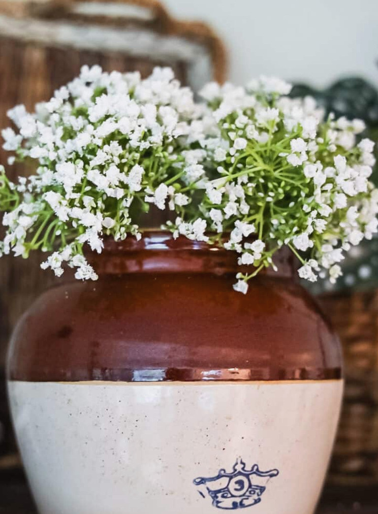bean pot with baby's breath flowers