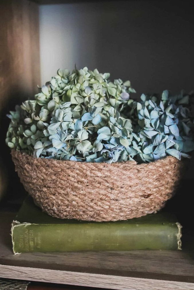 dried hydrangeas