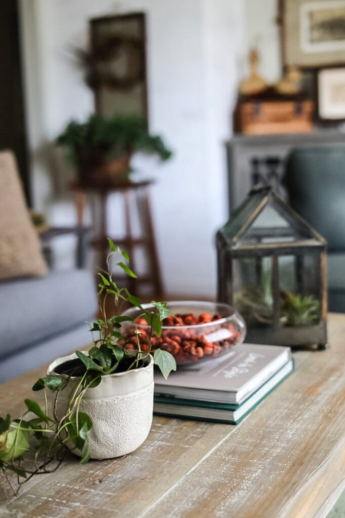 coffee table featuring terrarium and books