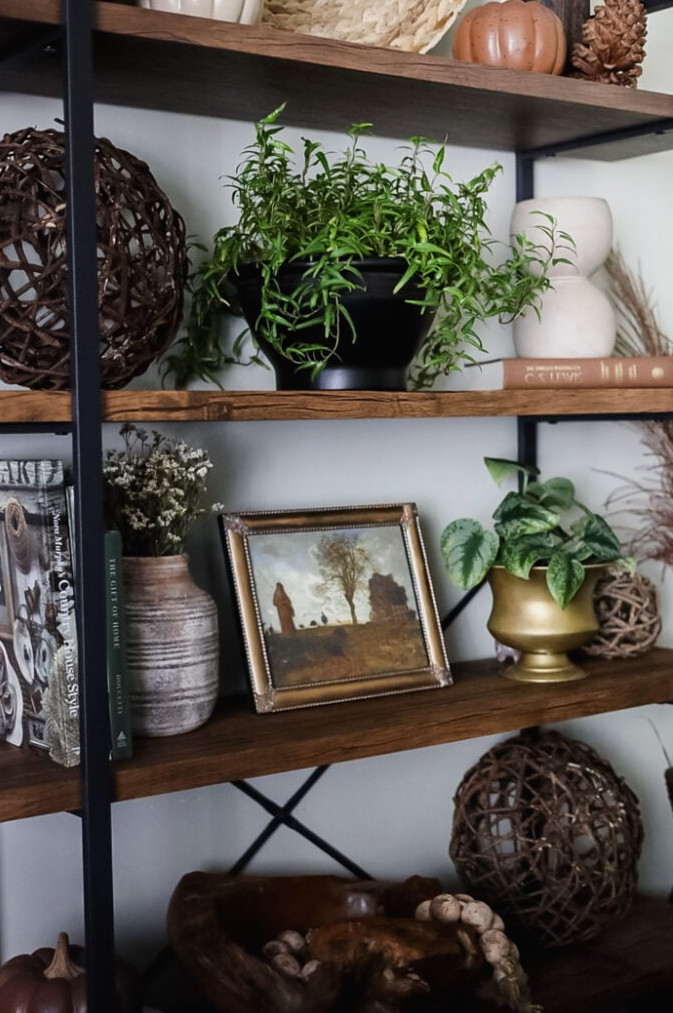 bookcase styled with plants, vases, and frames