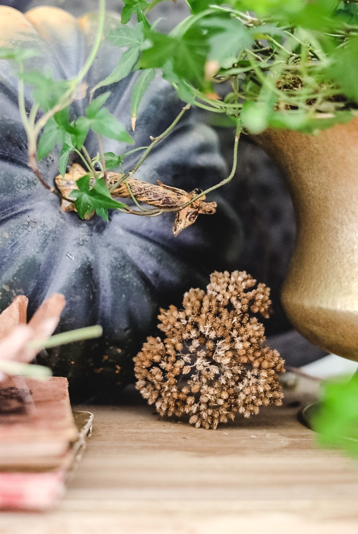 close up of pumpkin and dried flower