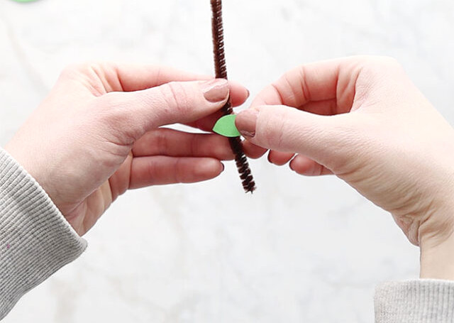 Attaching leaf to pipe cleaner