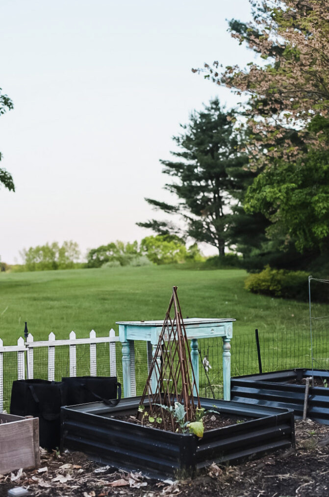 raised garden bed with willow trellis