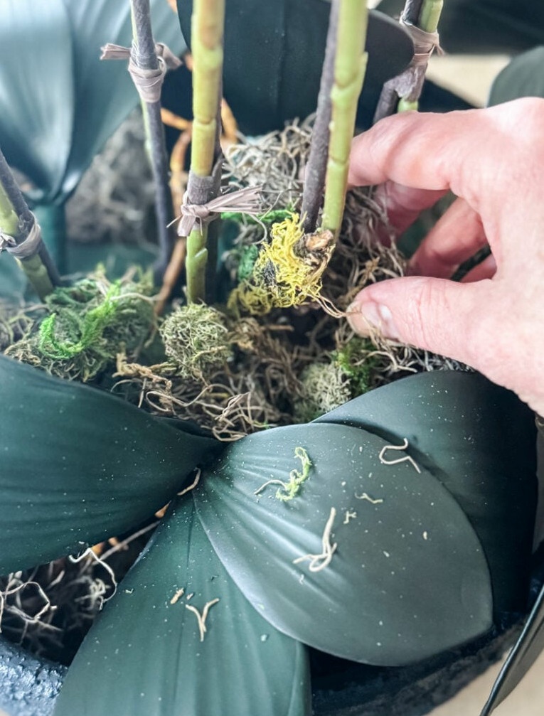 hand adding moss to an orchid planter