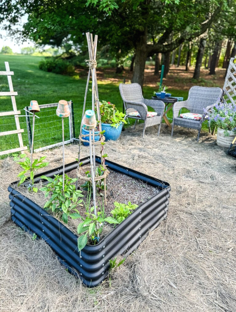 3x3 ft raised bed with pepper plants