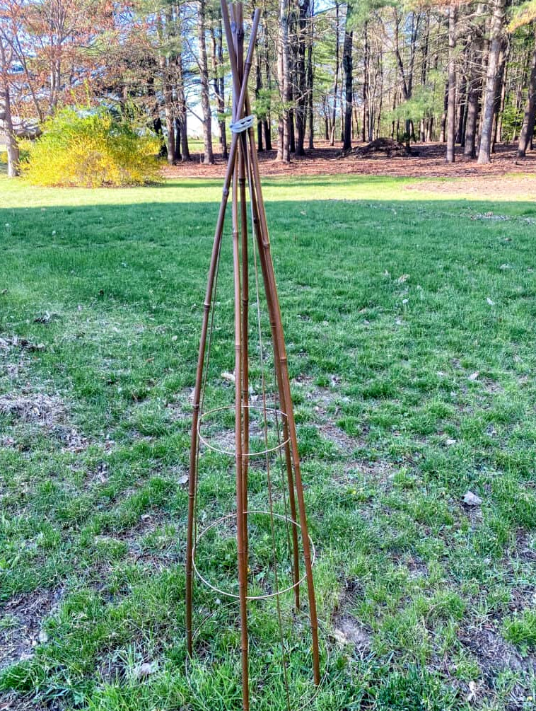 making a garden tower from tomato cage