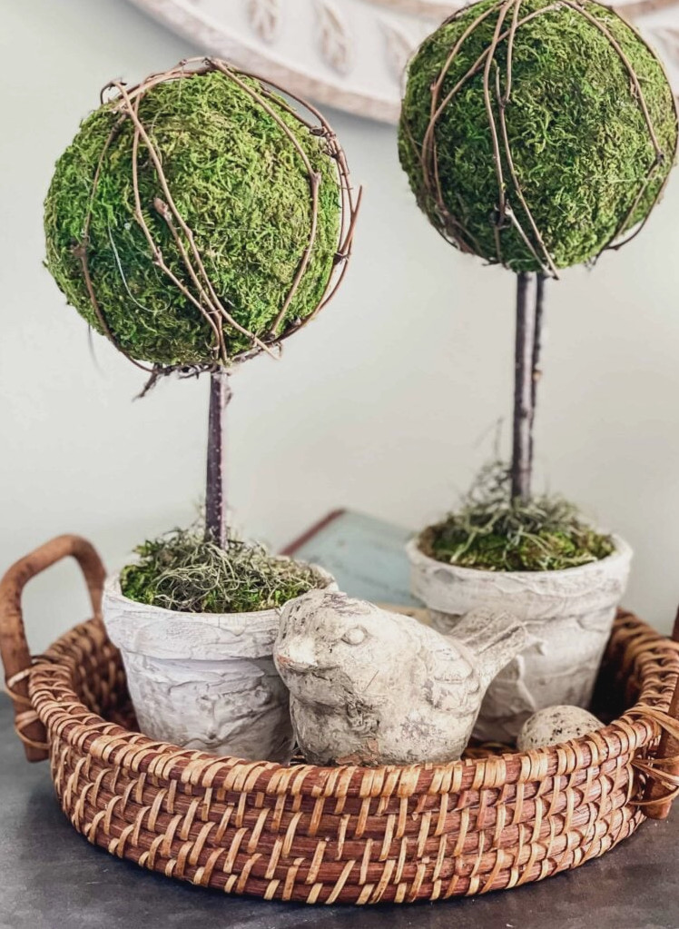 moss topiaries
