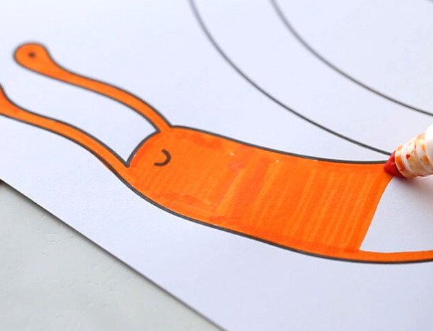 Color Snail Template