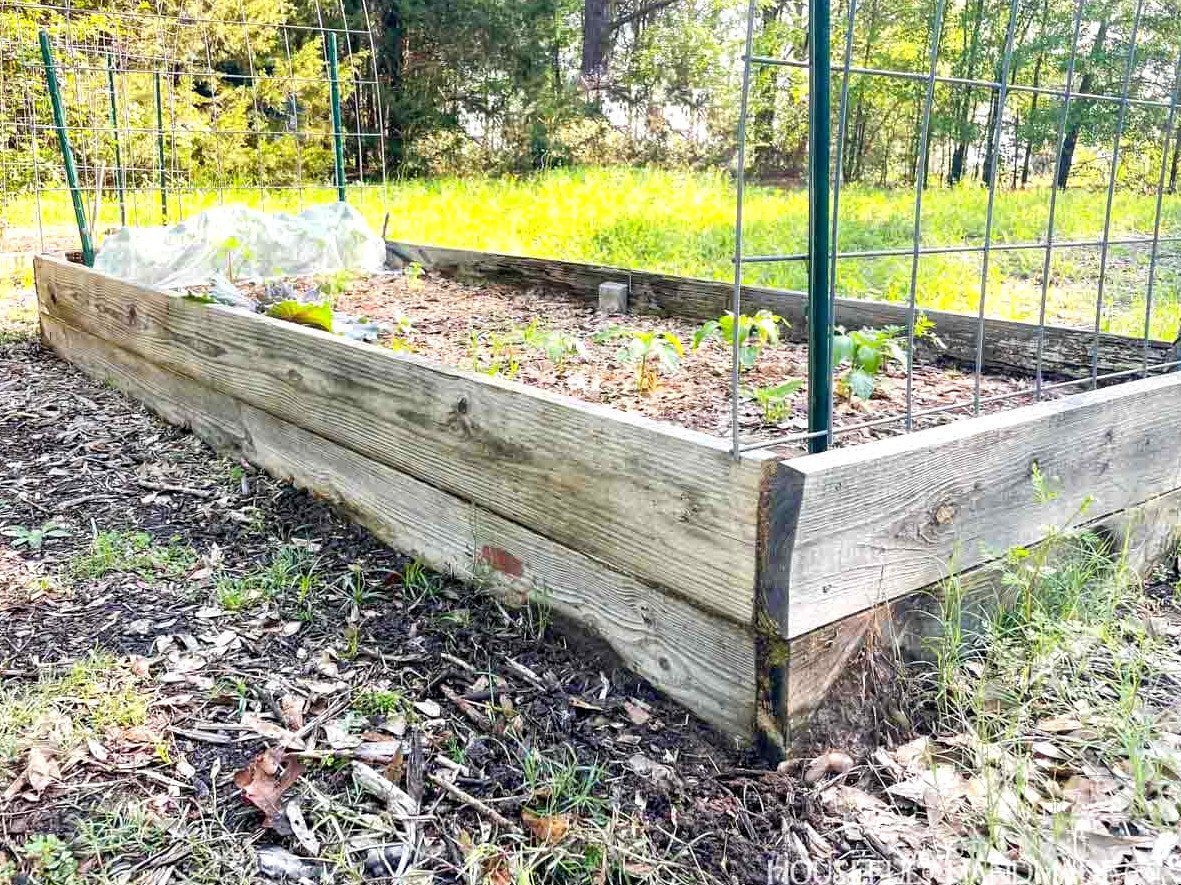 A taller raised garden bed made from two stacked boards.