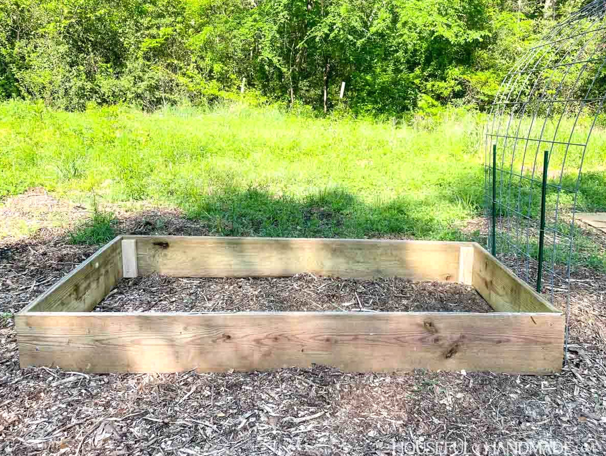 DIY wooden raised garden bed with a cattle panel trellis along one side.