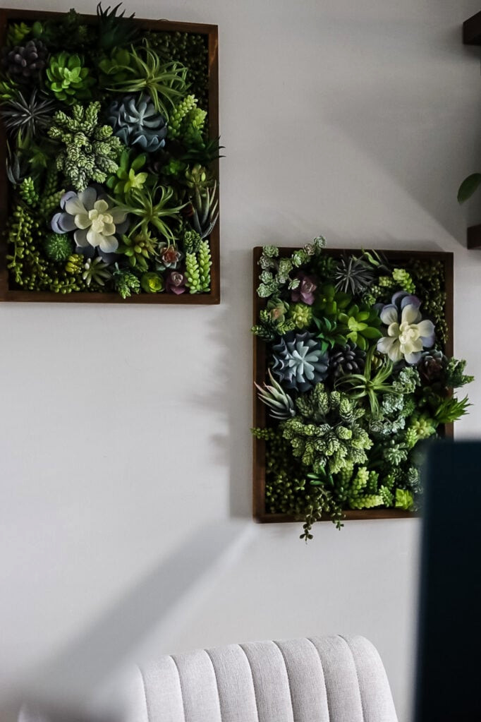 diy succulent wall art hanging on wall