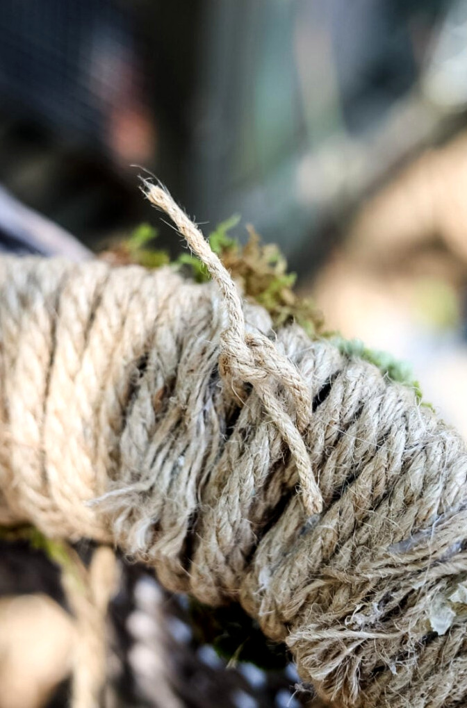 Branching Out: DIY Rope Tree of Life Wreath