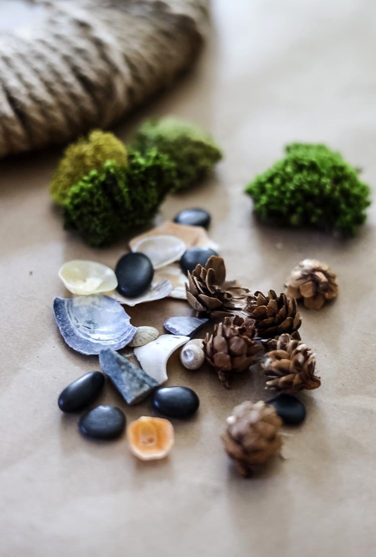 shells, rocks, moss, and small pinecones