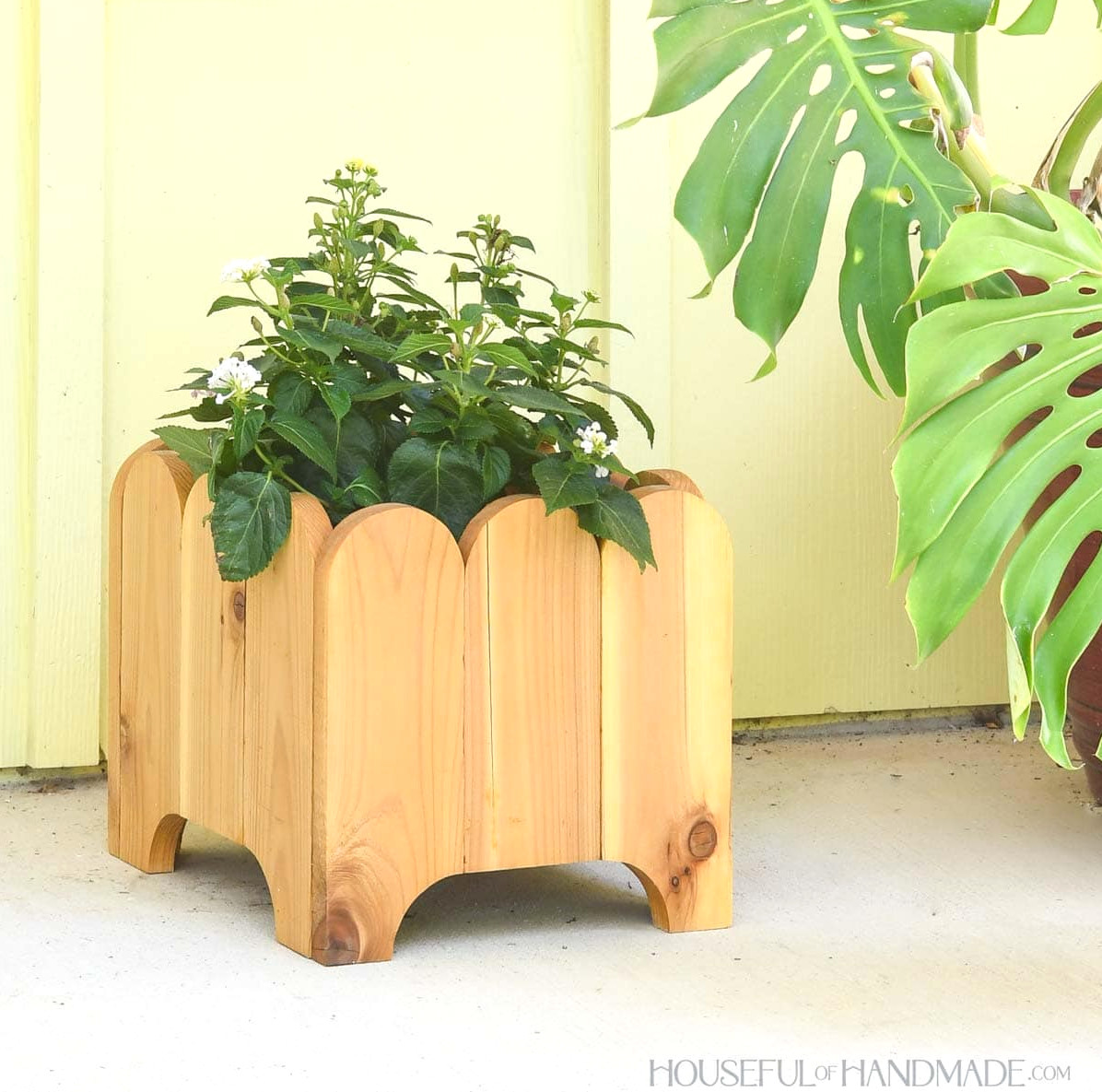 Square cedar planter with curved legs and scalloped top. 