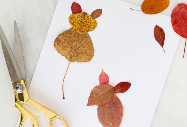 Attaching leafy ears to mice