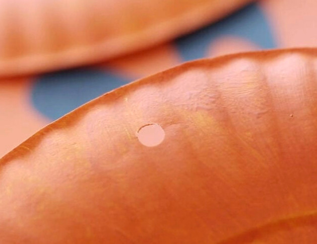 Hole in paper plate for stem