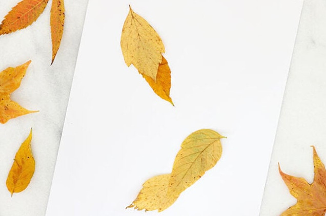 Positioning leaves to create birds