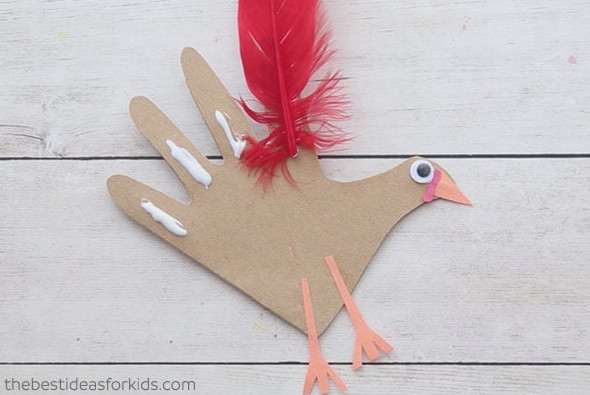 Glue on your feathers to your turkey