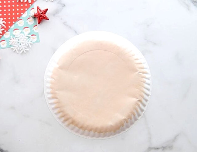 Paint Paper Plate