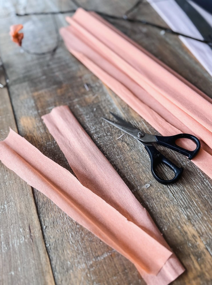 peach crepe paper strips