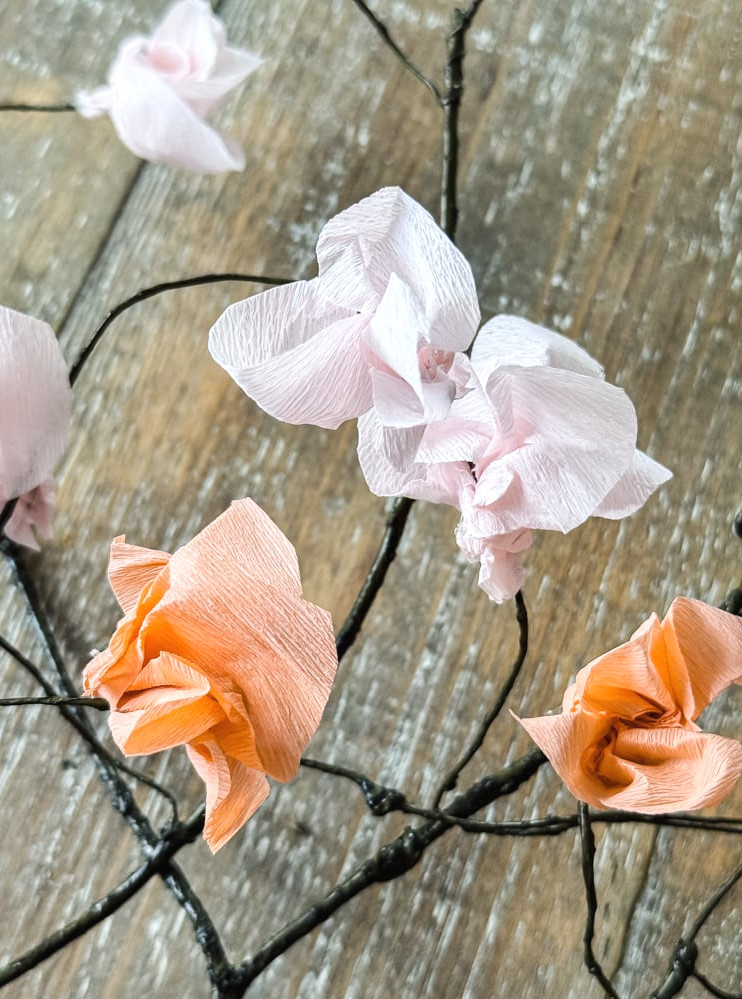 paper cherry blossom branch closeup of flowers