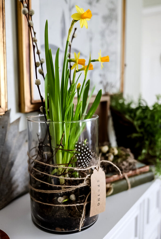 daffodil filled vase