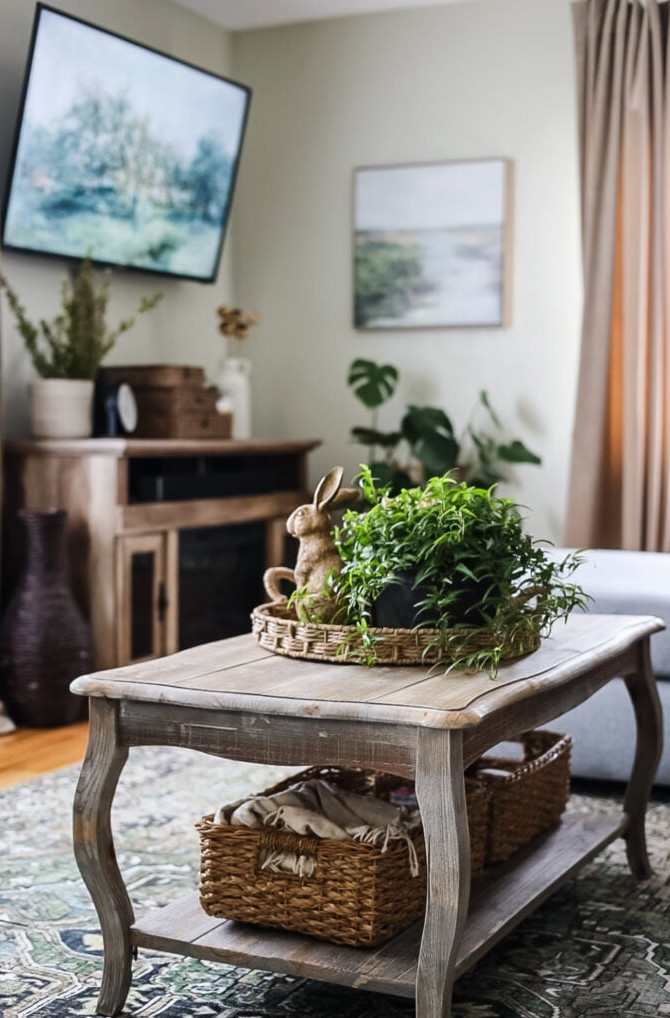 coffee table in living room with rattan tray and plant