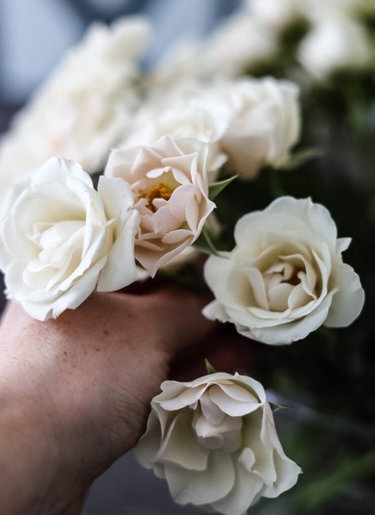 making a flower arrangement with white roses