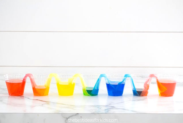 Walking Water Experiment for Kids
