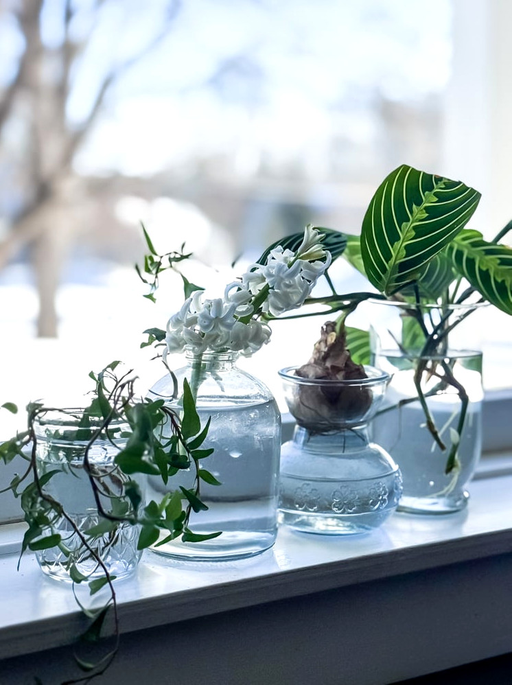 glass vases on windowsill
