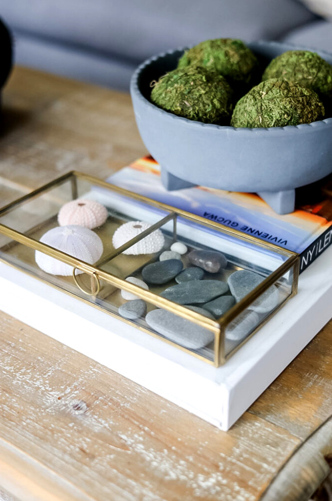 coffee table display with dish of moss balls, books, and a glass trinket box with urchins and stones