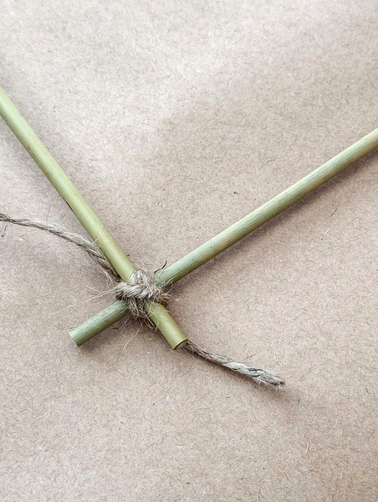 bamboo being secured with twine