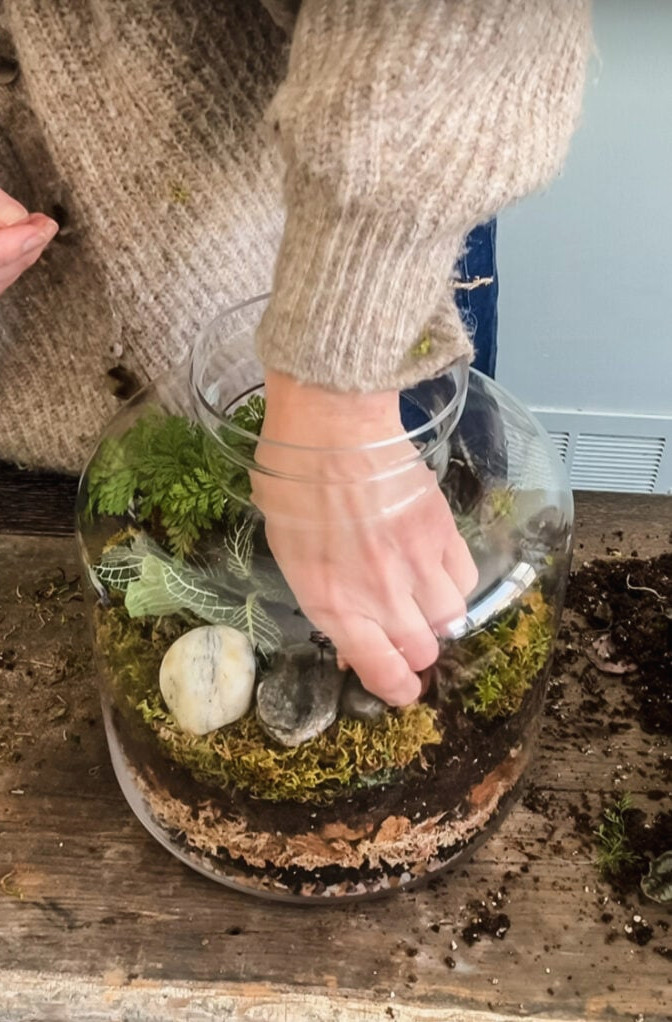 adding rocks to terrarium