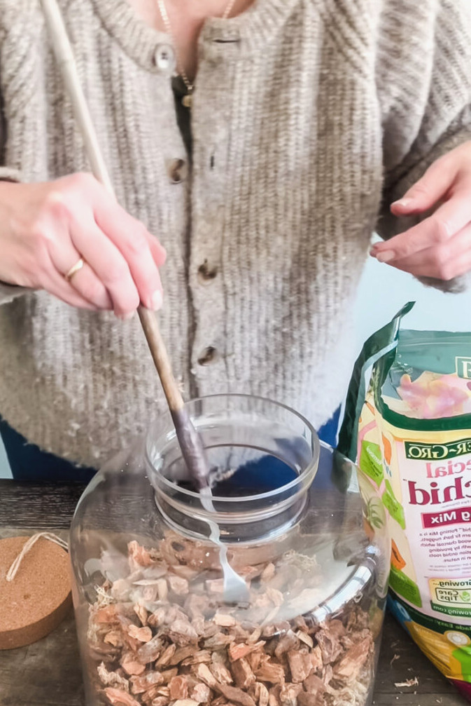 adding orchid bark to a terrarium