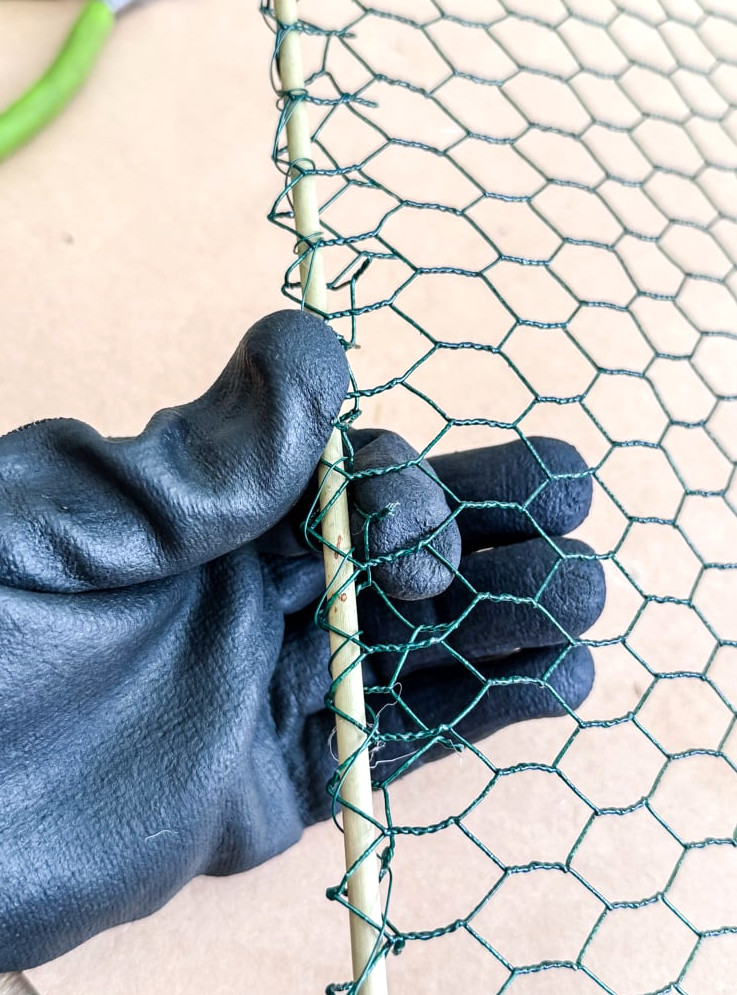 gloved hand holding chicken wire