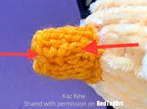 stitching the duck's beak