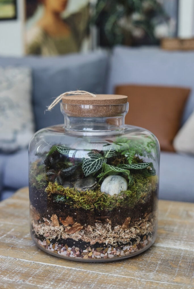 glass closed terrarium on coffee table