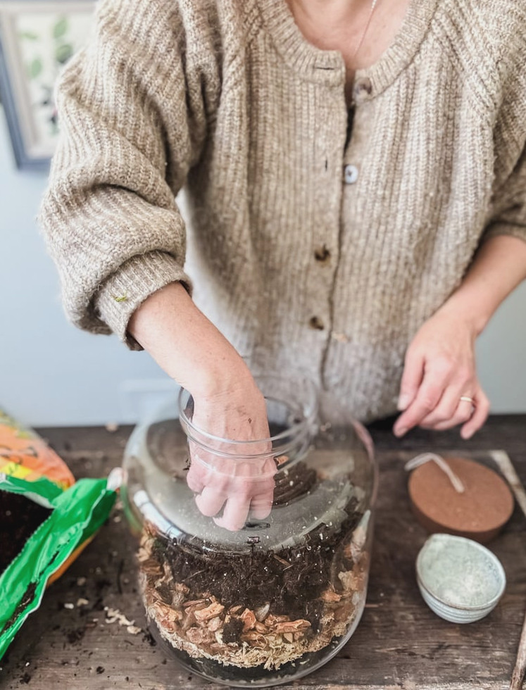 adding potting soil to terrarium