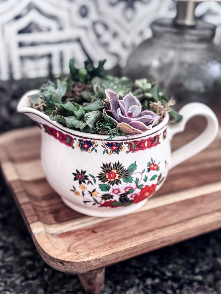 succulents arranged in a china creamer