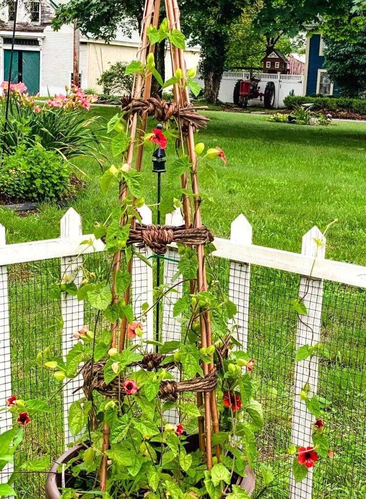 garden tower with climbing flowers