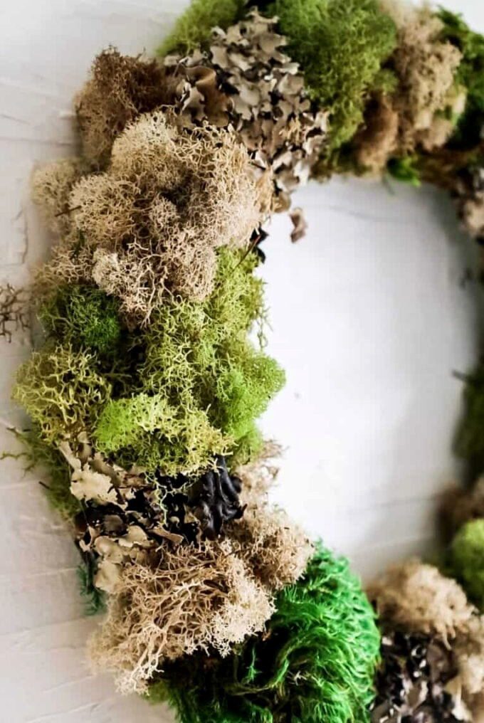 anthropologie dupe moss wreath