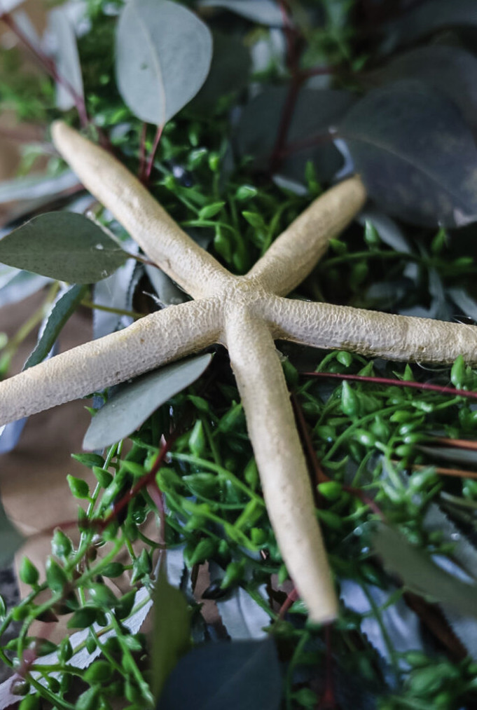 starfish on a wreath