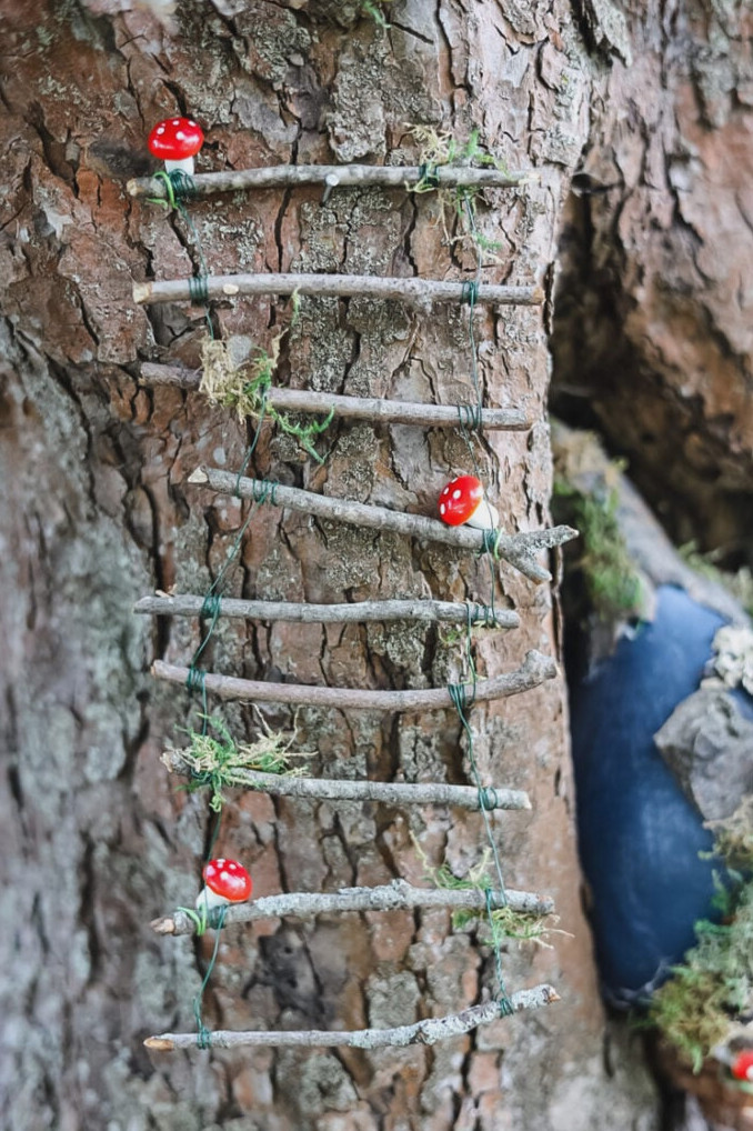 fairy ladder suspended from tree