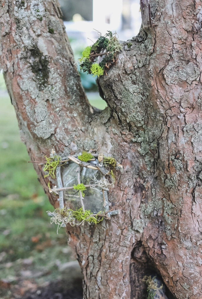 fairy windows set in a tree