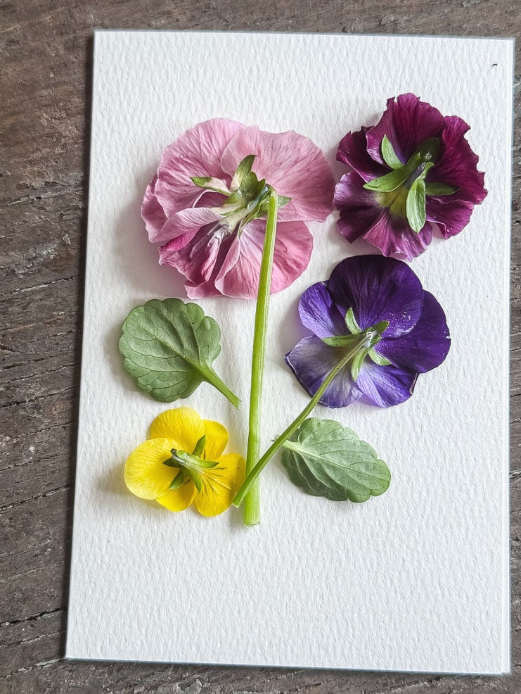 a white notecard with face down fresh pansies