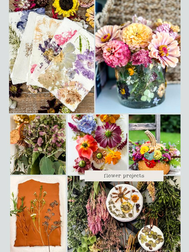 A Mid-Summer Cut Flower Garden Tour: What&rsquo;s Blooming!