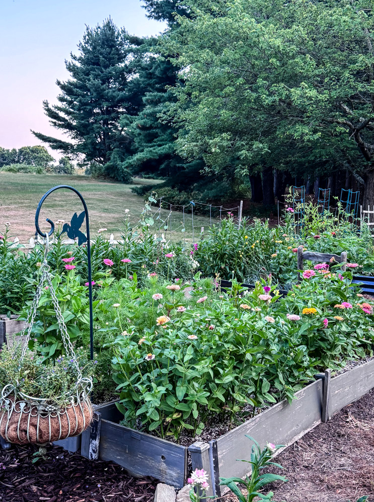flowering raised beds