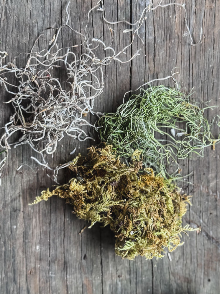 pile of moss