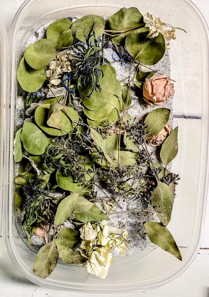flowers in silica gel